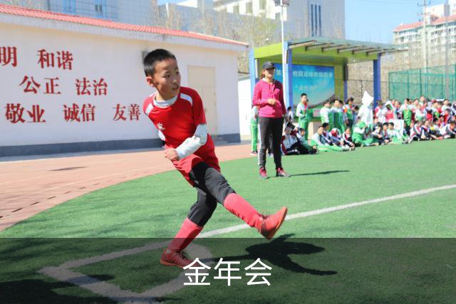 金年会公司简介